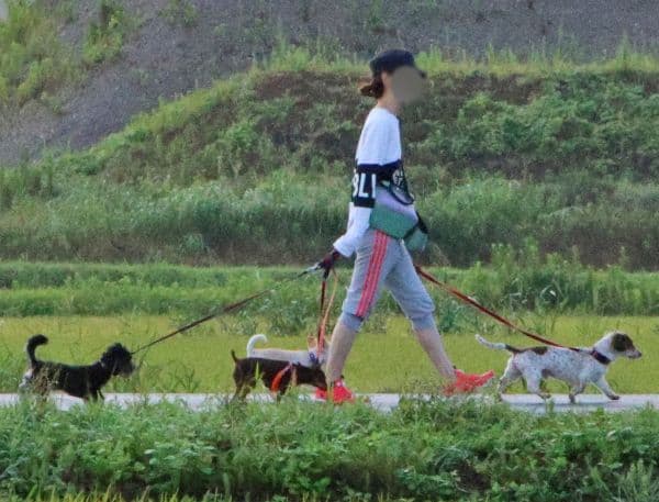 土肥美緒さんは、坂上忍さんが作った「動物保護施設」で一緒に動物の世話をしている